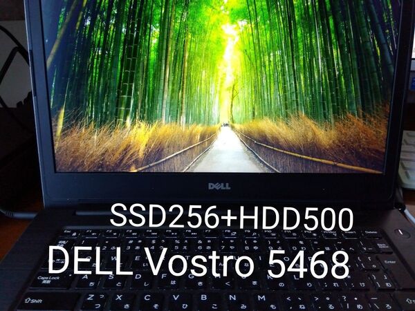 Vostro 5468 SSD256+HDD500 RAM16
