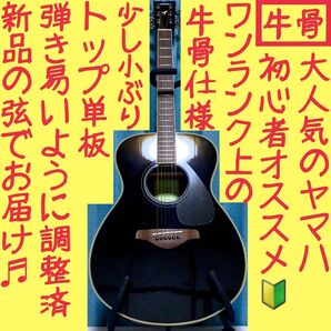 【牛骨☆現行モデル】ヤマハ!FS820!黒!アコギ!【弾き易く調整☆新品の弦】