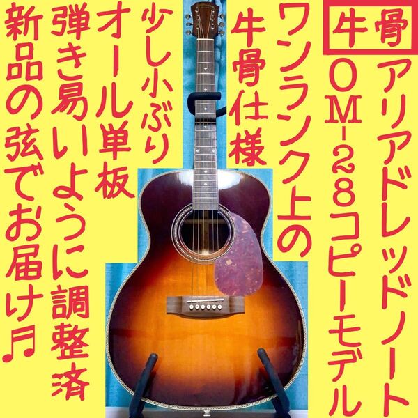 【オール単板★牛骨】ARIA☆アリア!AF-505【弾き易く調整☆新品の弦】