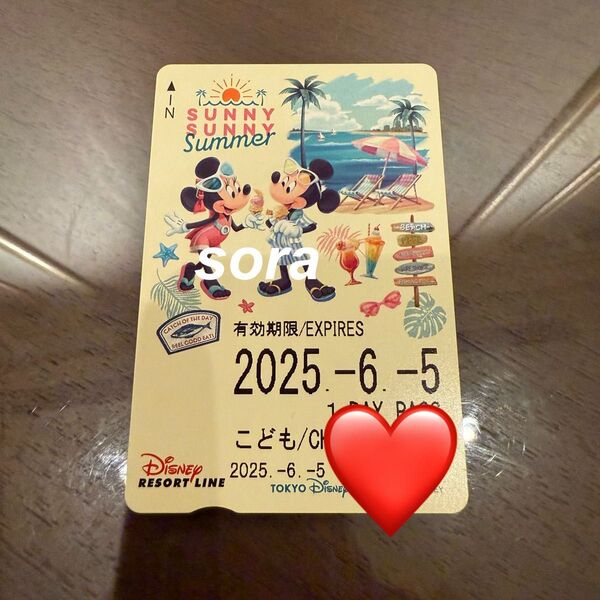 ディズニー リゾートライン フリーきっぷ サニーサニーサマー フリー切符 ミッキー ミニー リゾラ
