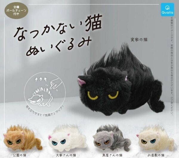 コンプ なつかない猫 ぬいぐるみ 全5種 ガチャ ねこ ネコ