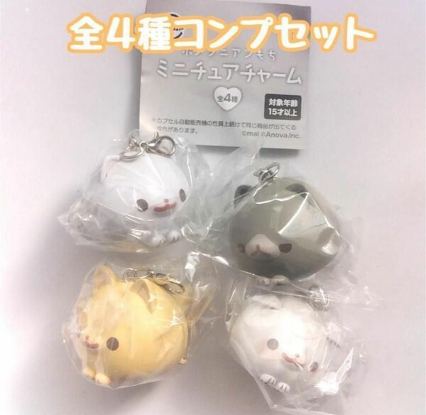 A-77 コンプ ポメラニアンもち ミニチュアチャーム 全4種 ガチャ 犬 いぬ