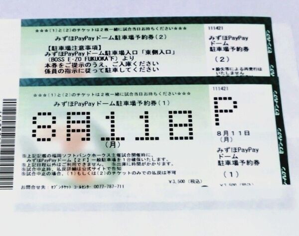 8/11(月祝)paypayドーム駐車券