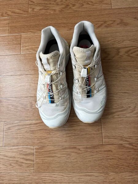 Salomon XT-6