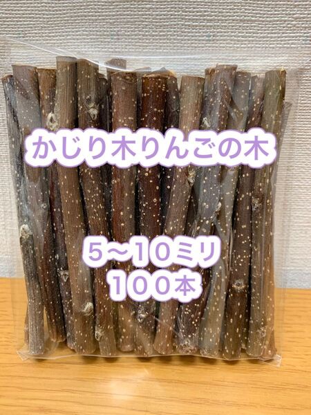 かじり木 りんごの木 100本