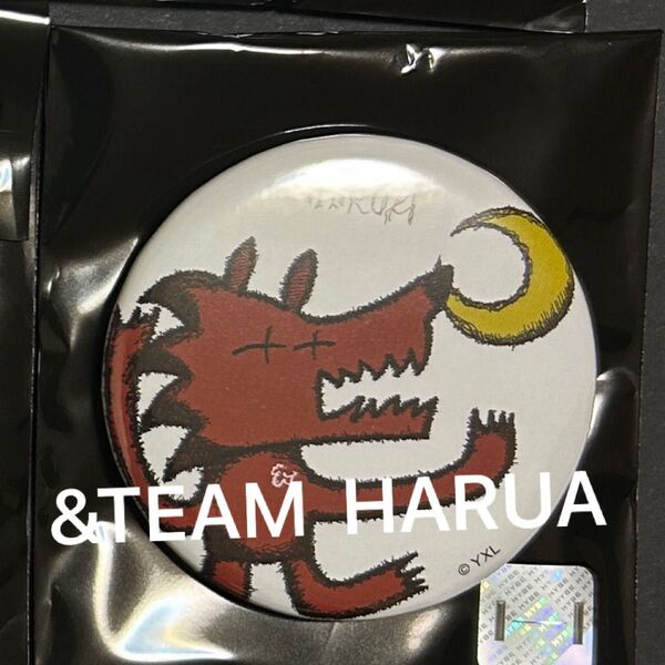 &TEAM アニメイト 缶バッジ ハルア