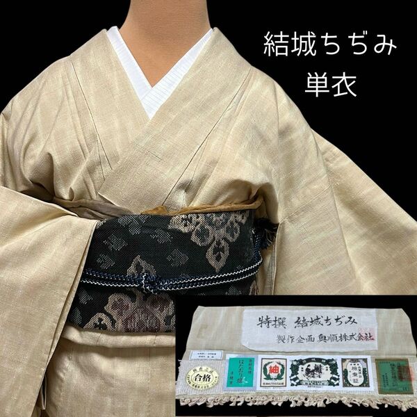 ★特撰結城ちぢみ!!単衣 奥順 はたおり娘 斜線暈し クリーム色系 正絹 証紙付 結城紬