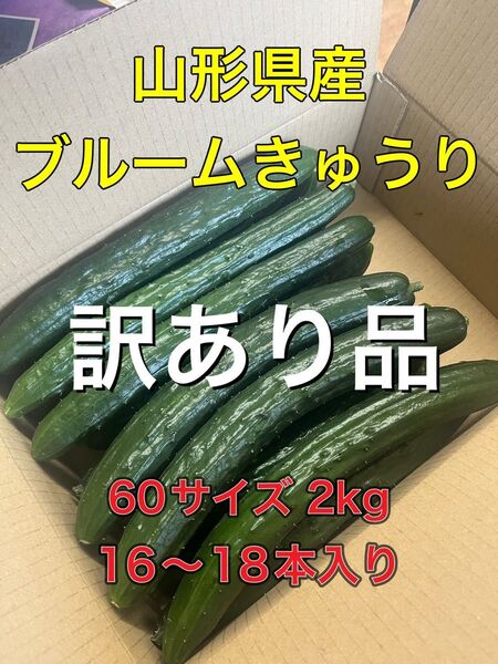 山形県産 きゅうり規格外品《ブルームきゅうり》