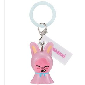スキズ ガチャ めじるしアクセサリー チャンビン トゥエッキ skzoo straykids ガシャポン
