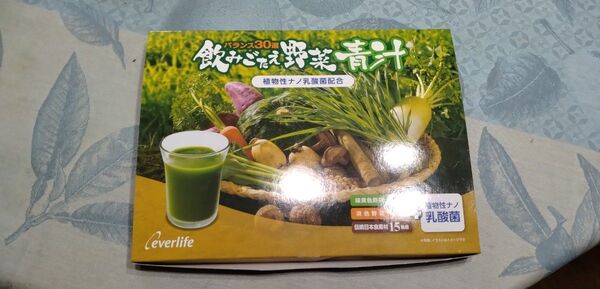 エバーライフ 飲みごたえ野菜青汁