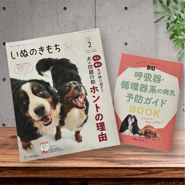 いぬのきもち2025年2月号&付録付き ベネッセ