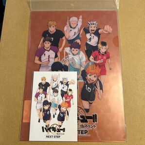 ハイキュー NEXTSTEP ネクストステップ クリアファイル ポストカード