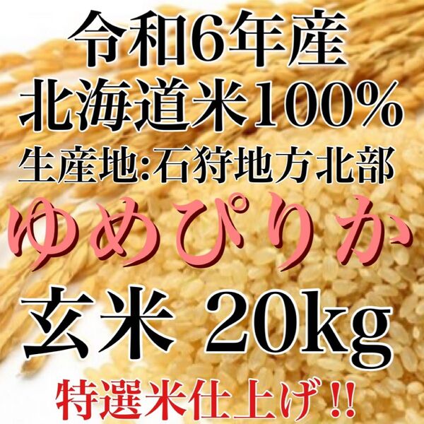 6月23日発送!令和6年度産北海道米100%ゆめぴりか玄米20キロ
