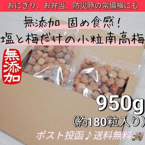 【災害時の非常梅にも】固めの小粒紀州南高梅950g