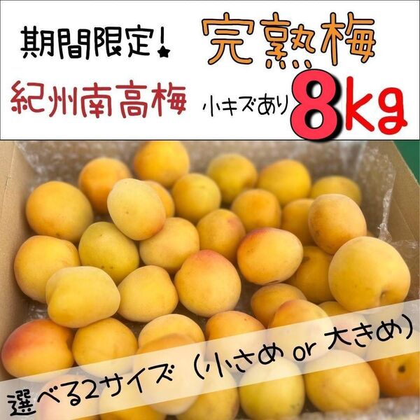 【期間限定!】紀州南高梅 完熟梅8kg傷あり