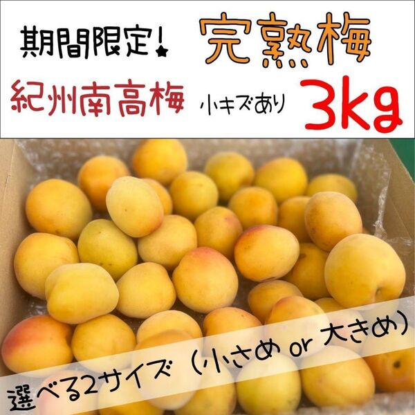 【期間限定!】紀州南高梅 完熟梅3kg傷あり