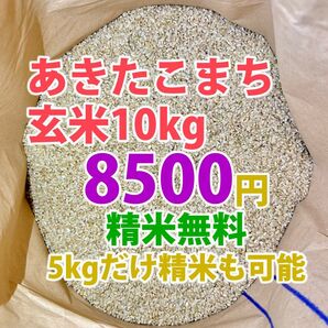 あきたこまち玄米 10kg 精米可能 秋田県産