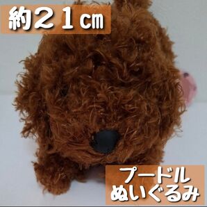 【豆子犬】プレイバウスタイル♪ぬいぐるみ(プードル)