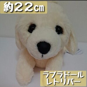【豆子犬】プレイバウスタイル♪(ラブラドールレトリバー)