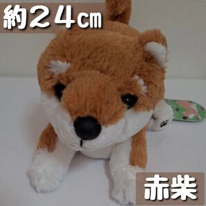 【豆子犬】プレイバウスタイル♪ぬいぐるみ(赤柴)