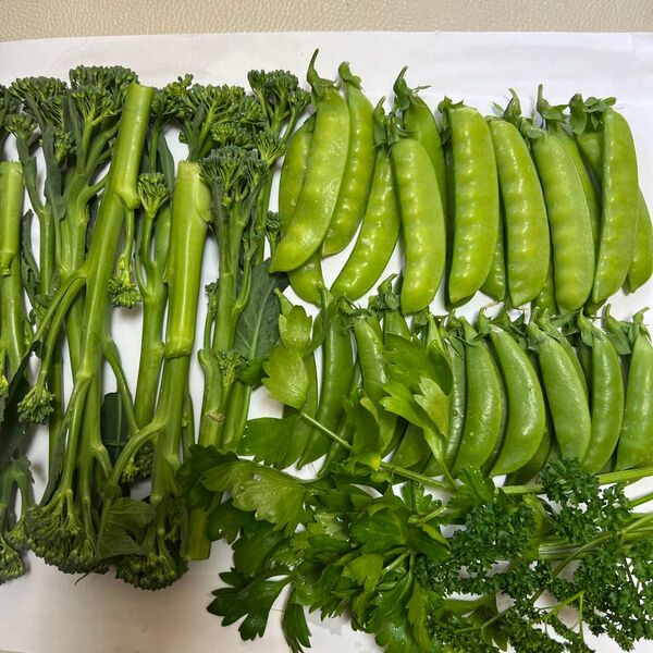 野菜詰め合わせ