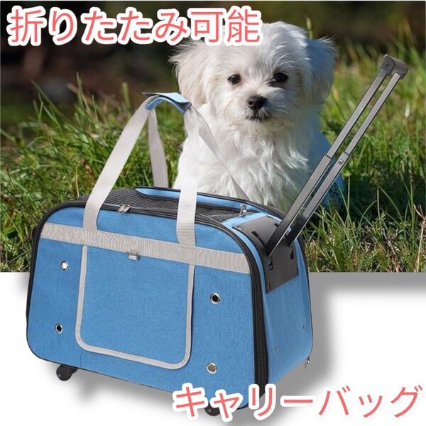 ペットカート 4輪 バギー 猫 犬 小型犬 コンパクト 軽量 ブルー 青 通院 お出かけ 旅行 新品 未使用