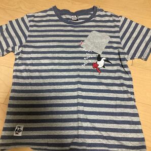 CHUMS ボーダーTシャツ