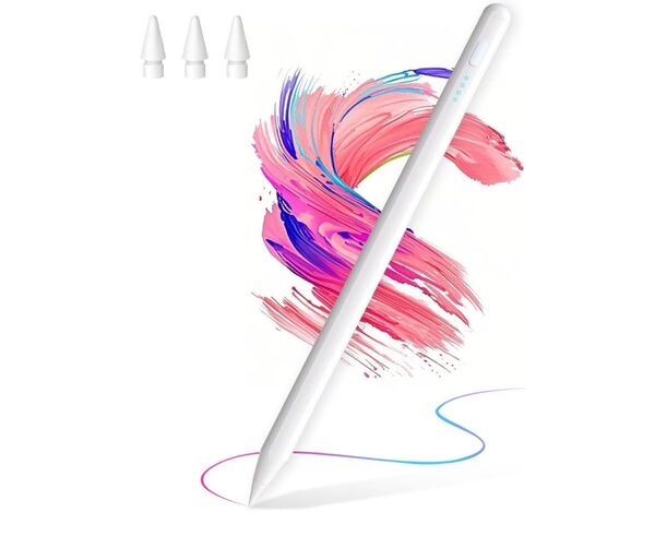 タッチペンiPad対応 2018年~2025年 Type-C急速充電磁気吸着