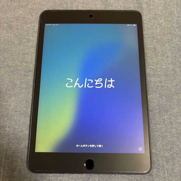 【美品】iPad mini 5 第5世代 64GB Cellular SIMフリー スペースグレイ MUX52J/A