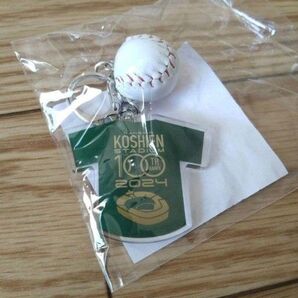 甲子園歴史館 甲子園球場100周年記念 キーホルダー