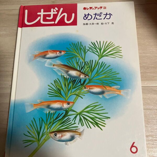 キンダーブック3 しぜん めだか