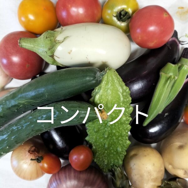 野菜詰め合わせ 夏野菜セット 完全無農薬 宅急便コンパクト常温発送 鮮度保持袋入り 美味しい空気で育てています