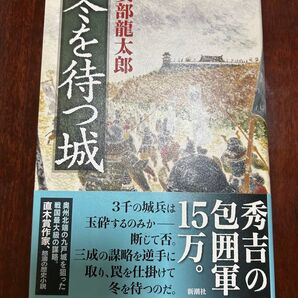 冬を待つ城 安部 龍太郎