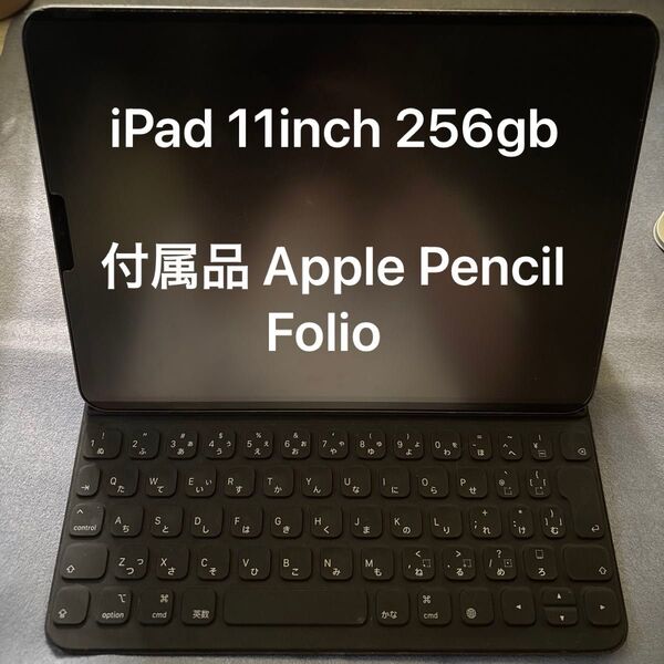 Apple iPad Pro 11インチ 256GB おまけあり