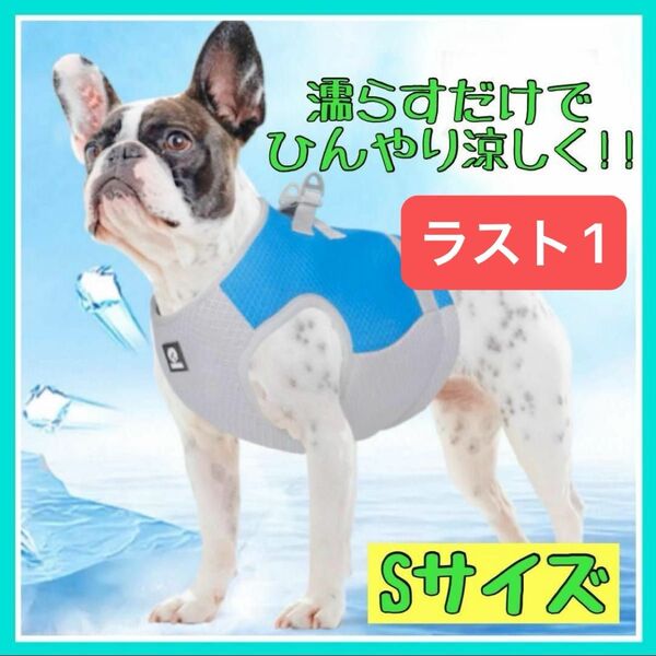 ラスト1 Sサイズ 犬用 クールベスト ひんやり 冷却 熱中症対策 ペット ハーネス 新品未使用品 冷感 クールベスト お散歩