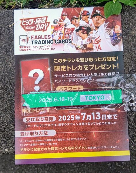楽天イーグルス ビジター応援DAY 神宮球場 ヤクルト戦ボンフィン チラシセット