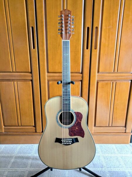 PLAYTECH AD15-12E 12弦 アコースティックギター Taylor風カスタム デュアルピックアップ