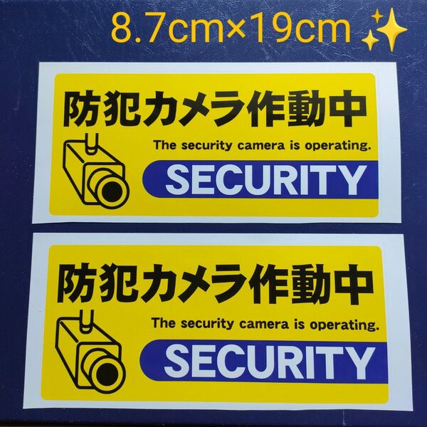 防犯ステッカー 監視カメラ 警備警告屋外24時間 防犯カメラシール ダミー防犯カメラ 防犯グッズ 防犯カメラステッカーセキュリティ