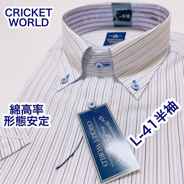 CRICKET… 綿高率 形態安定 ボタンダウン 半袖ワイシャツ L-41
