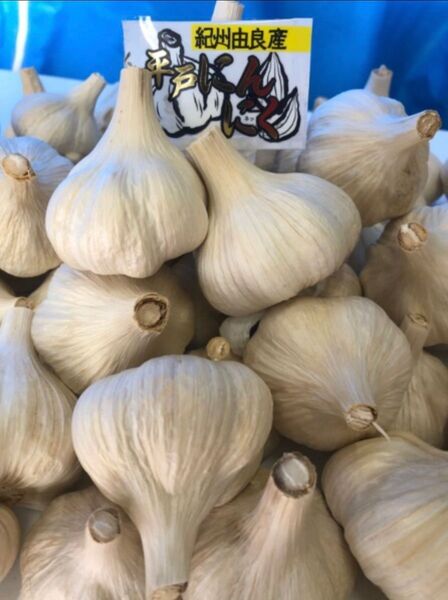 平戸にんにく 1kg