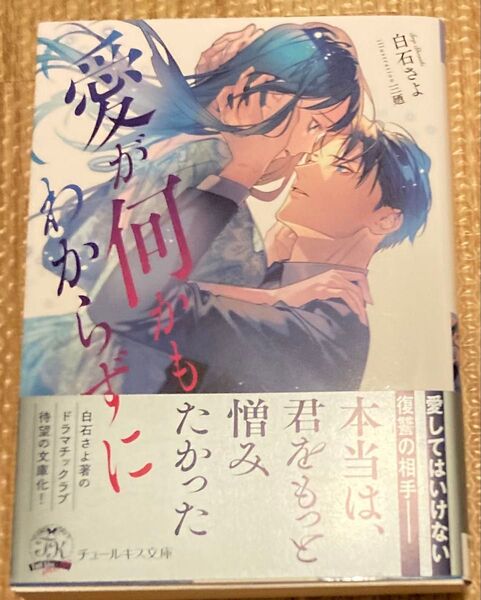 愛が何かもわからずに (Tull kiss more) 白石さよ/著 2024/10