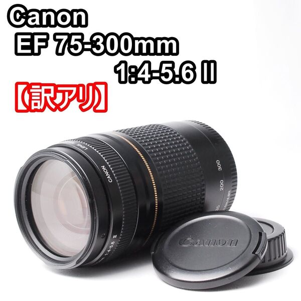 【訳アリ】Canon EF 75-300mm 望遠レンズ EF キャノン