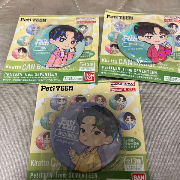 SEVENTEEN PetiTEEN 缶バッチ ジョシュア スングァン ドギョム ウジ ディノ ジュン ウォヌ