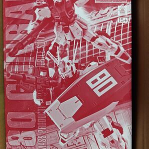 未組立 MGガンレイド 機動戦士ガンダム バンダイ