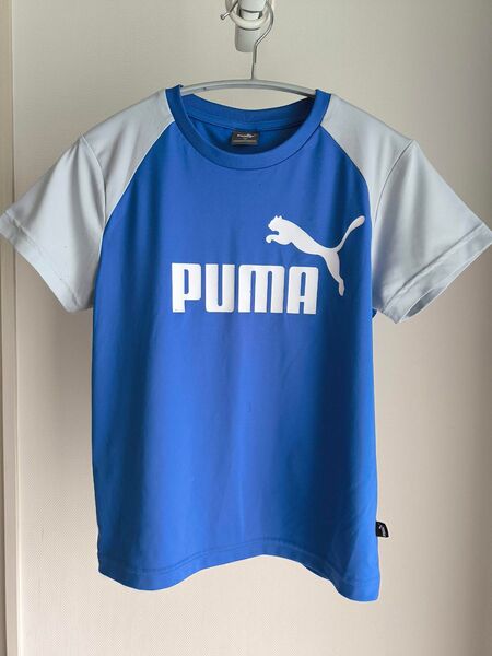 プーマ キッズ Tシャツ 半袖 ブルー 140センチ