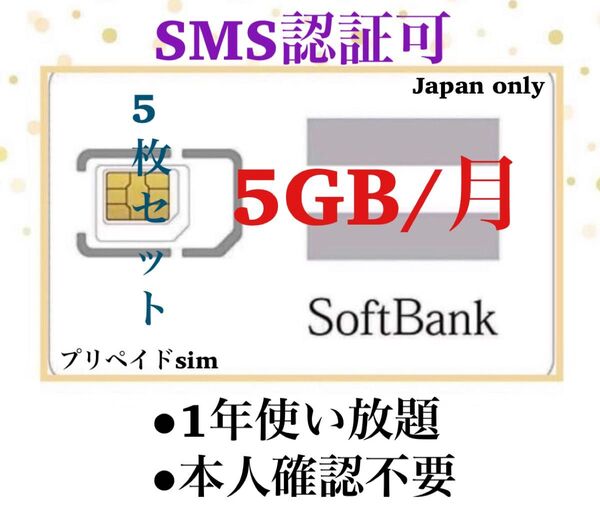 (10枚)プリペイドSIMカード 毎月5GB SMS受信可 データSIM