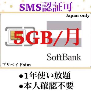 プリペイドSIMカード 毎月5GB SMS受信可 データSIM