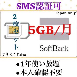 プリペイドSIMカード 毎月5GB SMS受信可 データSIM