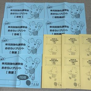 成基 TAM 年長児 単元別強化講習会 思考・数量・図形構成