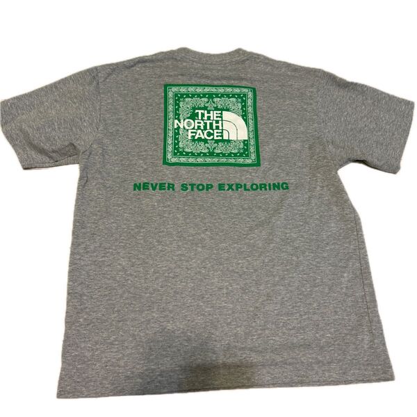 THE NORTH FACE Tシャツ グレー バックプリント ノースフェイス 半袖